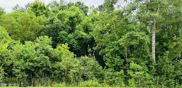 0.34 Acres of Residential Land for Sale in St. Martinville, Louisiana