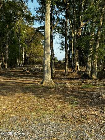2.25 Acres of Residential Land for Sale in Jeanerette, Louisiana