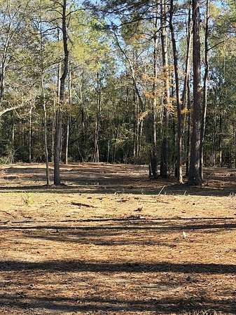 1.4 Acres of Residential Land for Sale in Buna, Texas