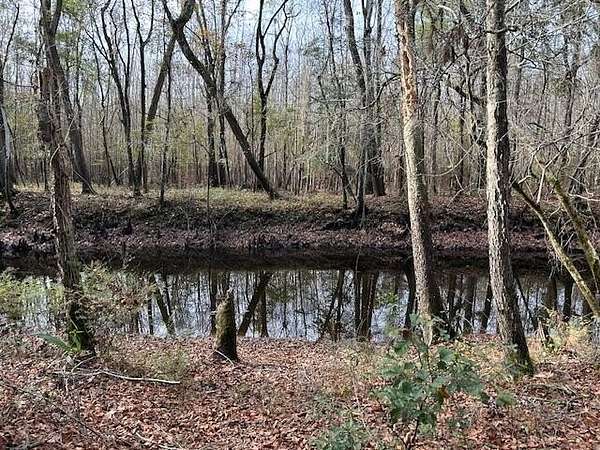0.36 Acres of Residential Land for Sale in Ravenel, South Carolina