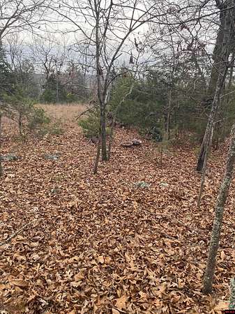 5 Acres of Land for Sale in Flippin, Arkansas