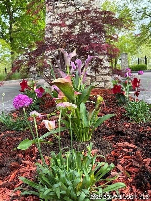 5.72 Acres of Residential Land with Home for Sale in Camdenton, Missouri