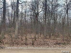 5.28 Acres of Residential Land for Sale in Sumpter Township, Michigan