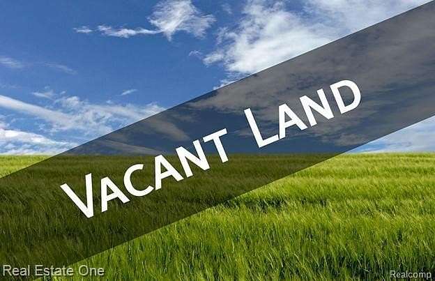 10 Acres of Land for Sale in Baldwin Township, Michigan