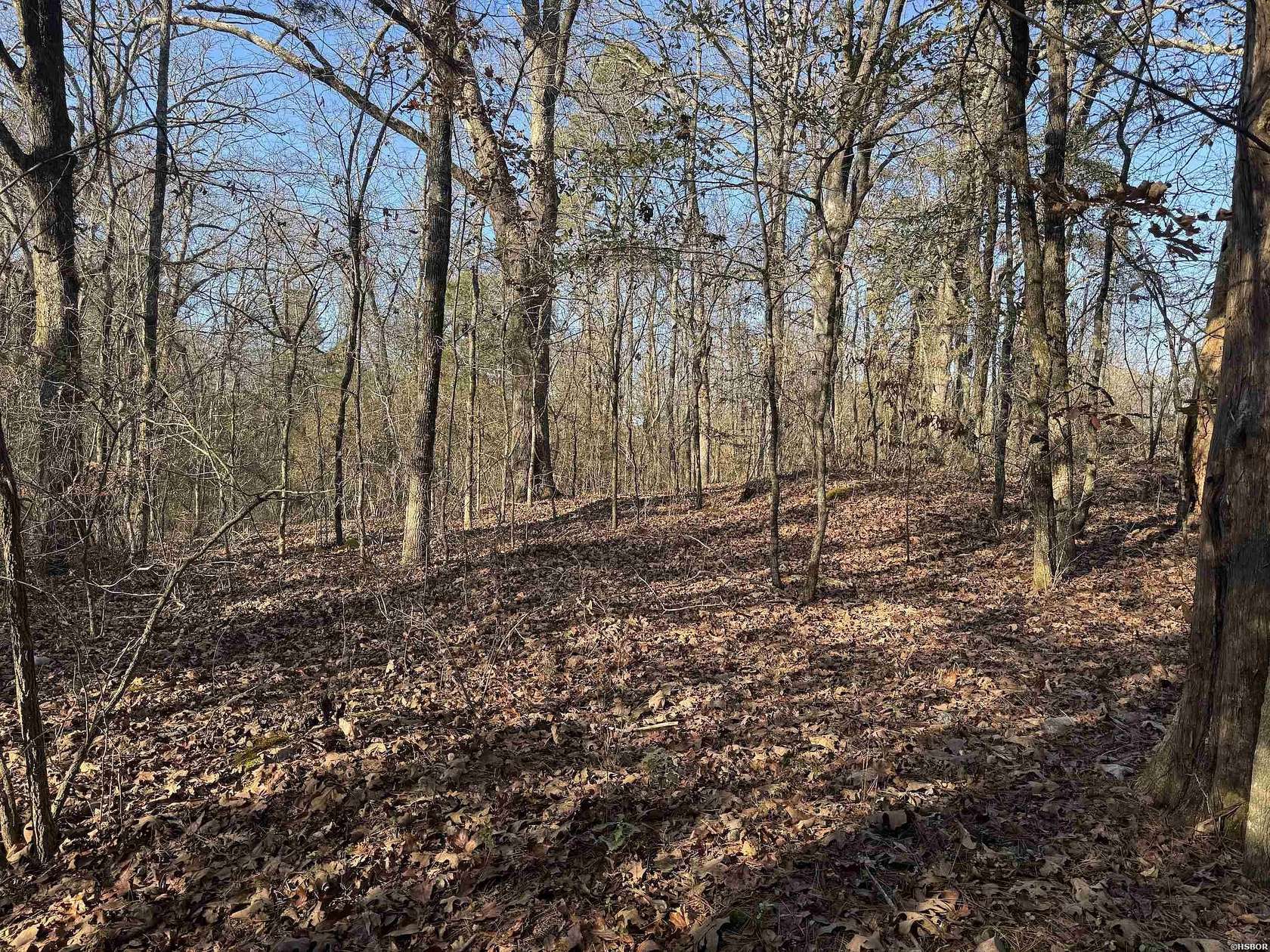 8 Acres of Residential Land for Sale in Glenwood, Arkansas