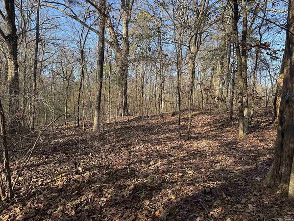 8 Acres of Residential Land for Sale in Glenwood, Arkansas