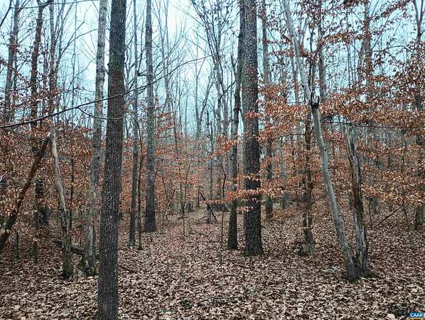 10 Acres of Residential Land for Sale in Scottsville, Virginia