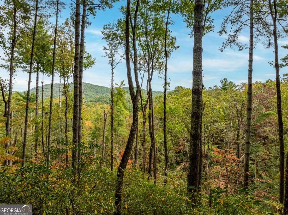 2 Acres of Residential Land for Sale in Ellijay, Georgia
