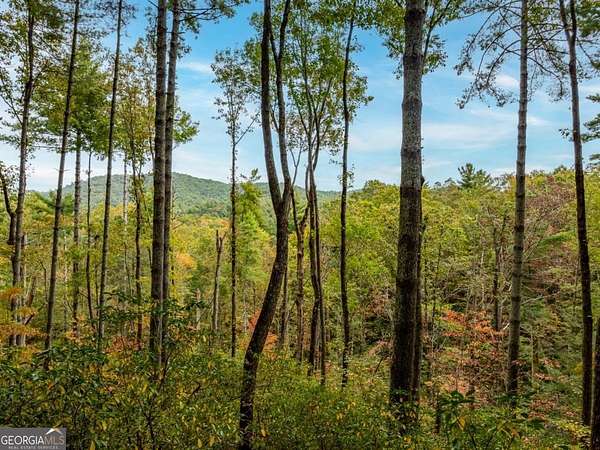 2 Acres of Residential Land for Sale in Ellijay, Georgia