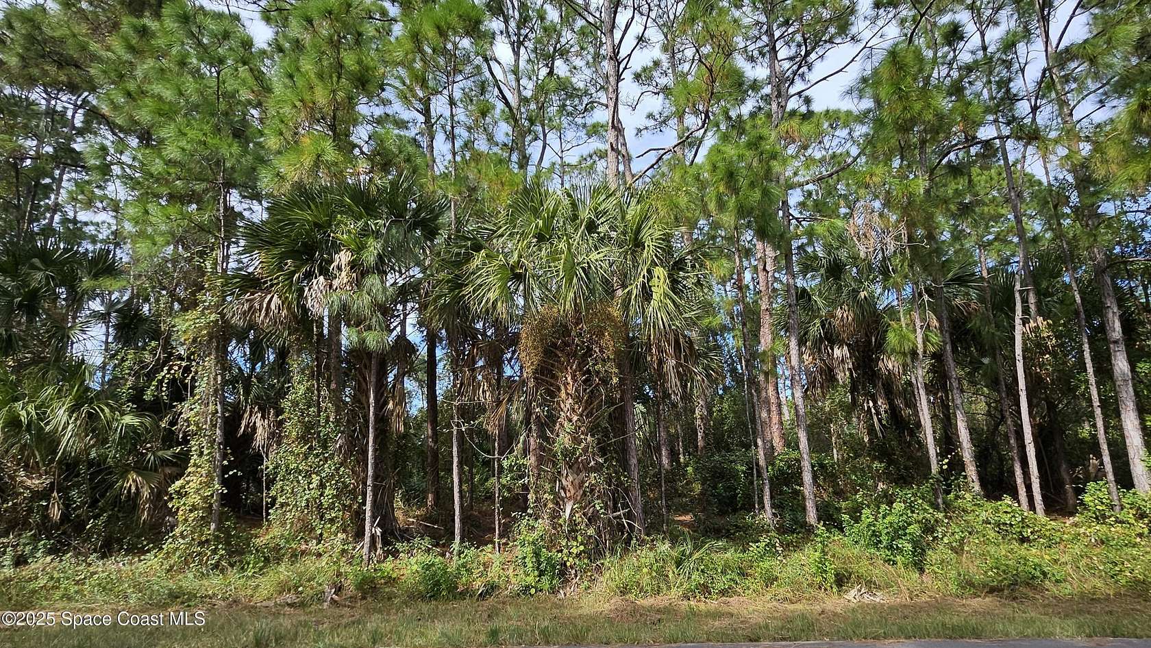 0.23 Acres of Residential Land for Sale in Palm Bay, Florida