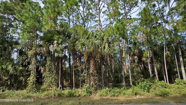 0.23 Acres of Residential Land for Sale in Palm Bay, Florida