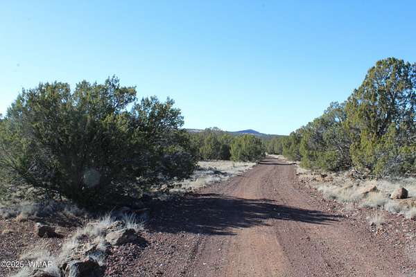 20.2 Acres of Land for Sale in Show Low, Arizona