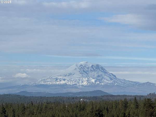 20 Acres of Land for Sale in Goldendale, Washington