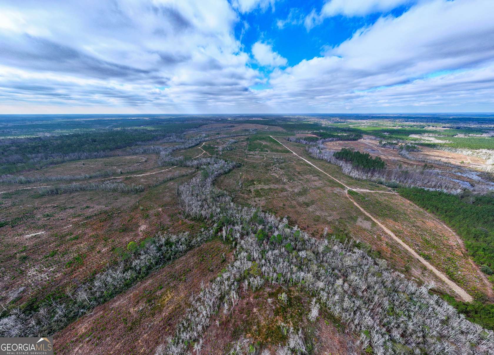 290 Acres of Land for Sale in Surrency, Georgia