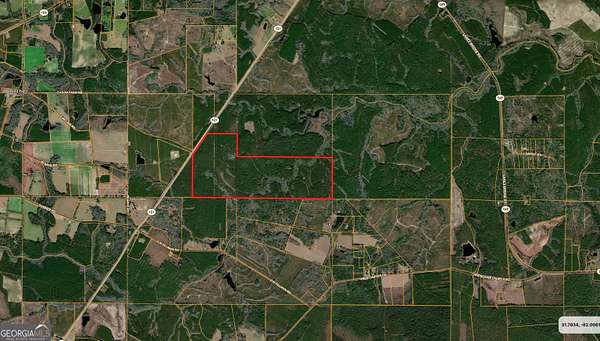 290 Acres of Land for Sale in Surrency, Georgia