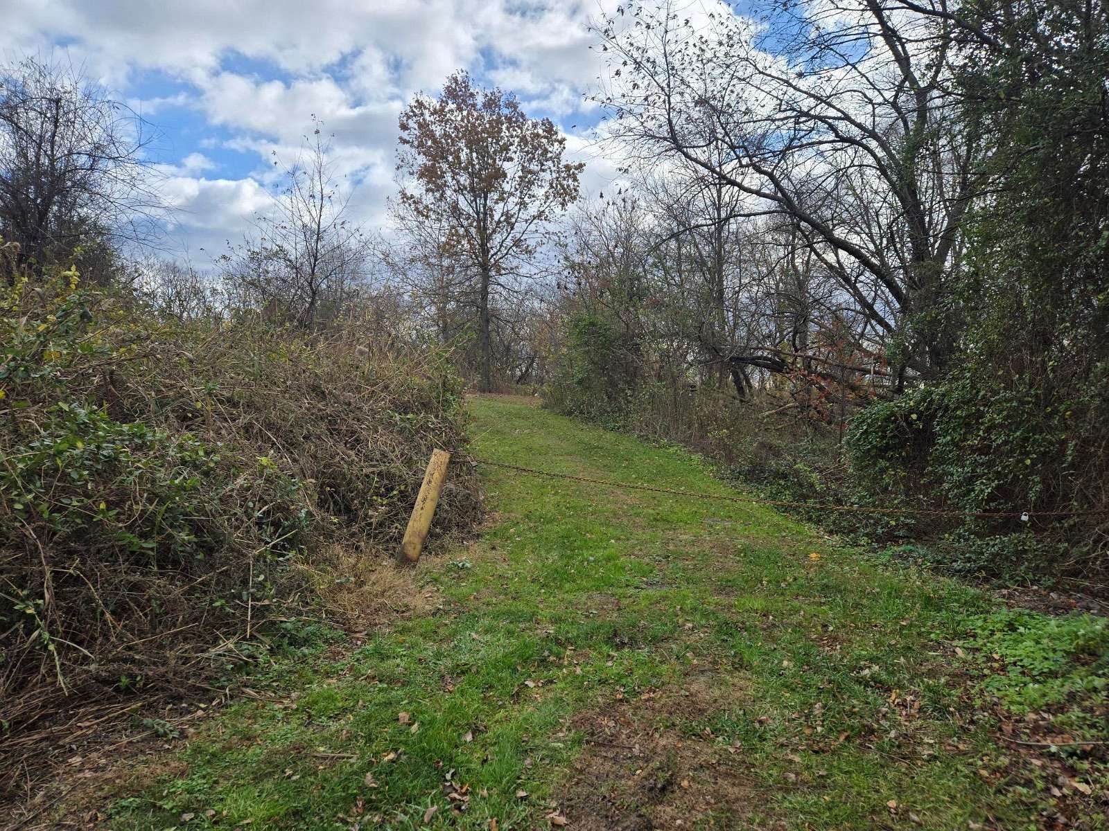 3 Acres of Residential Land for Auction in Gibbstown, New Jersey