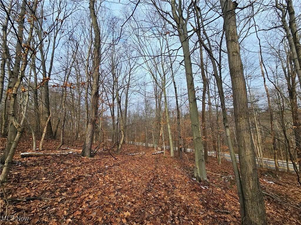 13.2 Acres of Recreational Land for Sale in Kimbolton, Ohio