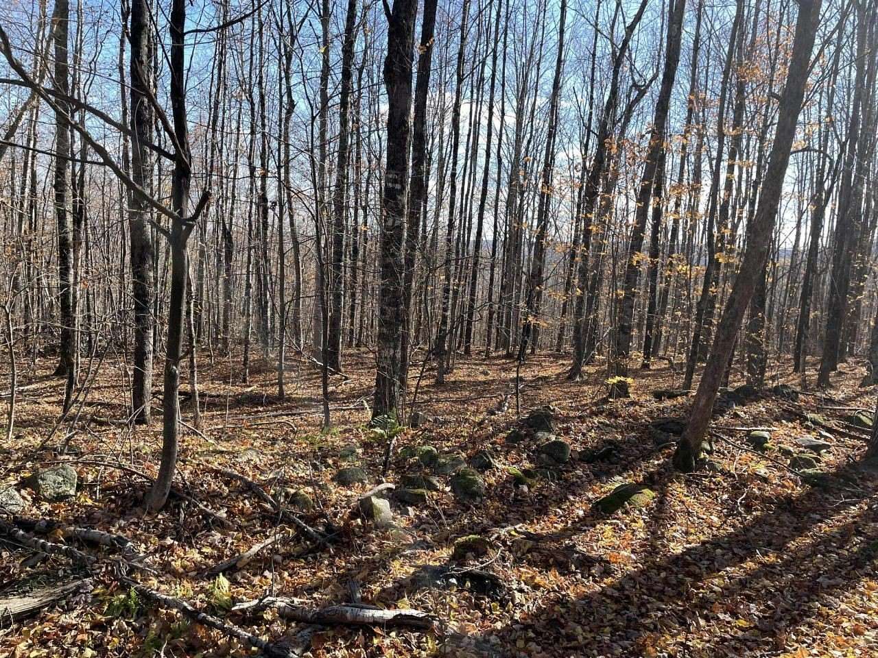 10.4 Acres of Recreational Land for Sale in Harmony, Maine