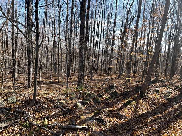 10.4 Acres of Recreational Land for Sale in Harmony, Maine