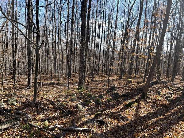 10.4 Acres of Recreational Land for Sale in Harmony, Maine