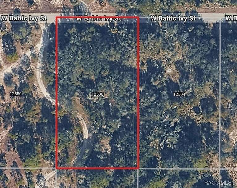 1.16 Acres of Land for Sale in Crystal River, Florida