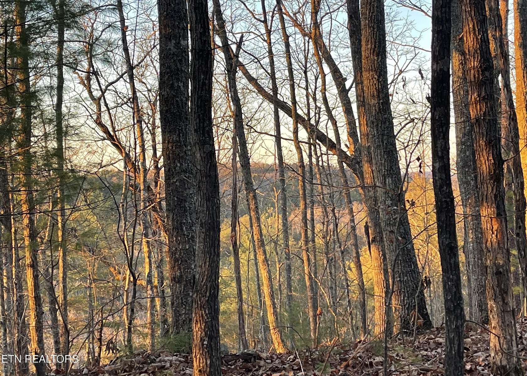 2 Acres of Land for Sale in Tellico Plains, Tennessee