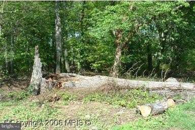 1.59 Acres of Residential Land for Sale in College Park, Maryland