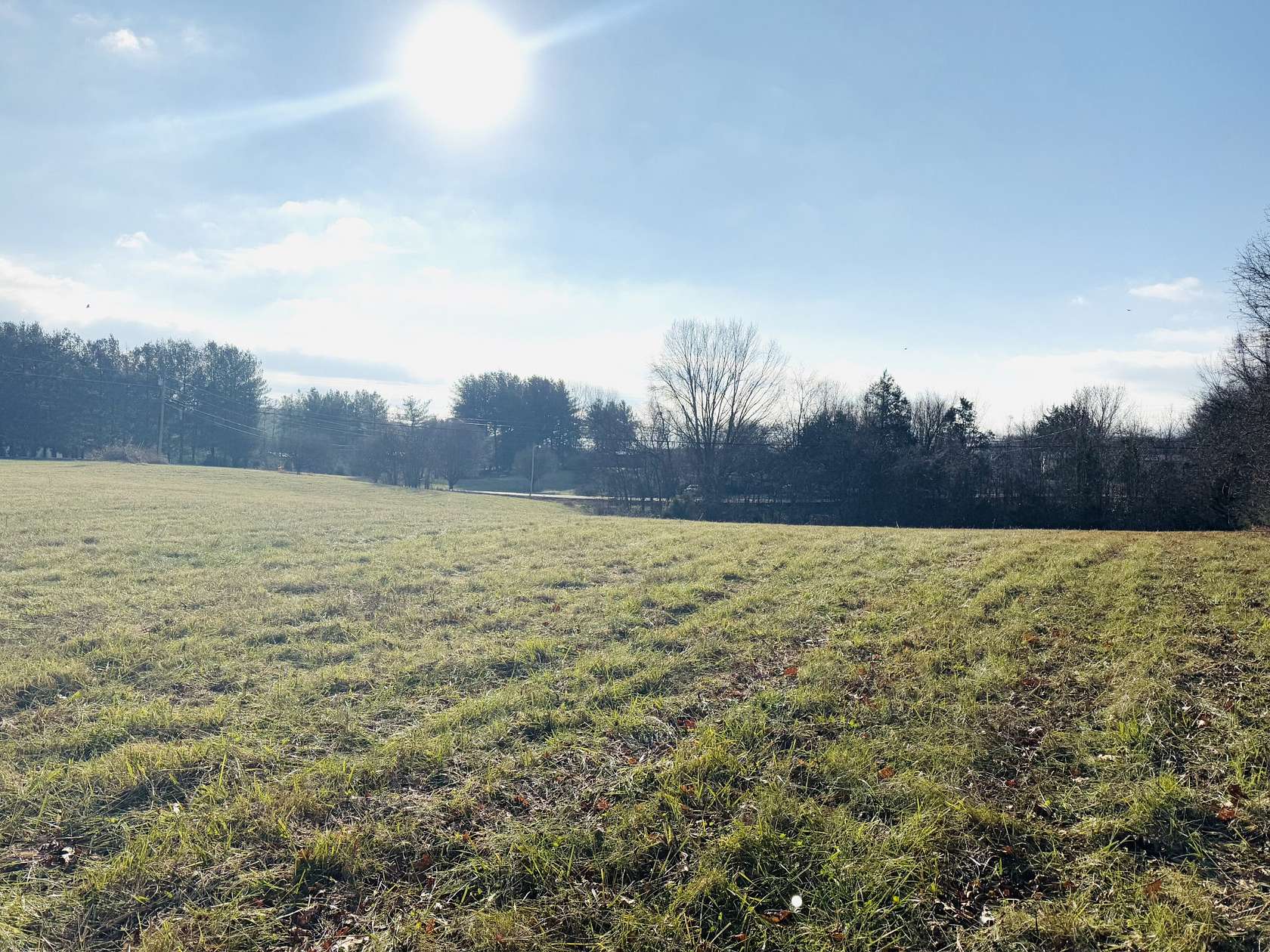 5.29 Acres of Residential Land for Sale in Lebanon, Tennessee