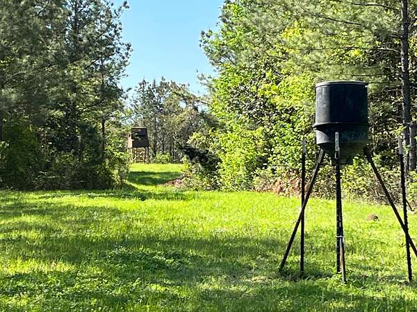 577 Acres of Recreational Land for Sale in Woodville, Mississippi