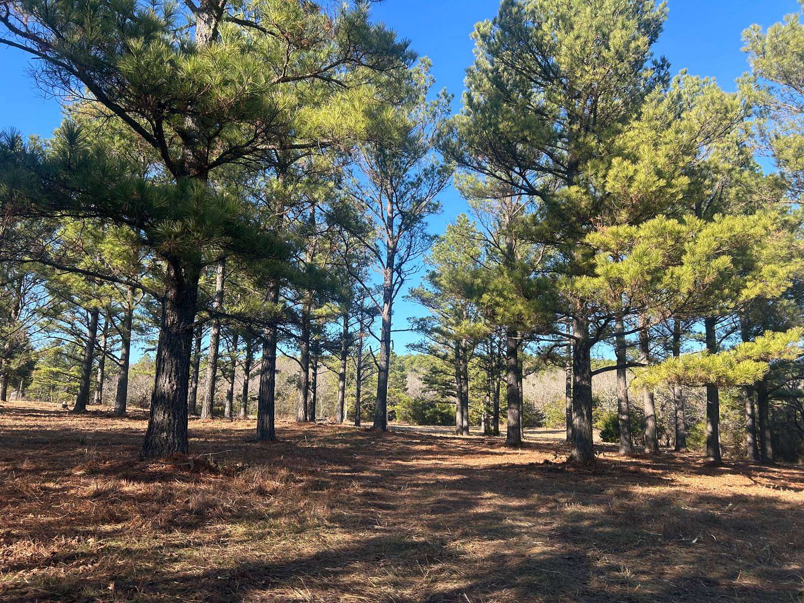 19.4 Acres of Recreational Land & Farm for Sale in Stringtown, Oklahoma