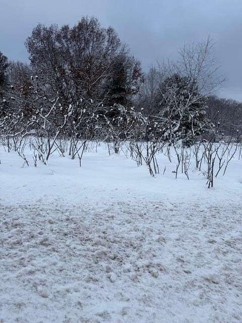 3 Acres of Commercial Land for Sale in Newaygo, Michigan