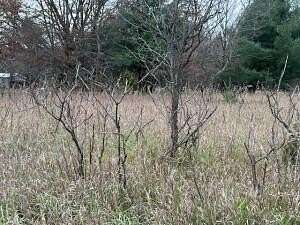 3 Acres of Commercial Land for Sale in Newaygo, Michigan