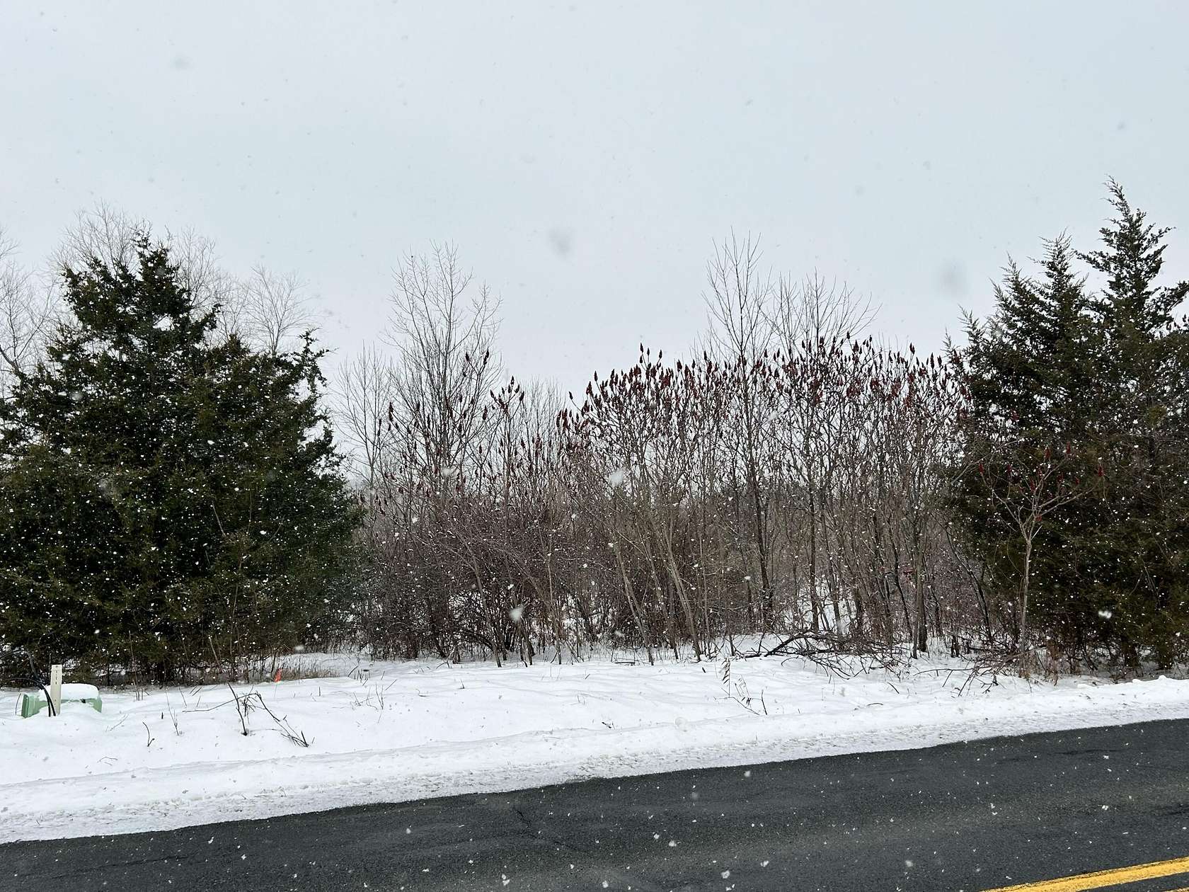 5 Acres of Land for Sale in Fennville, Michigan