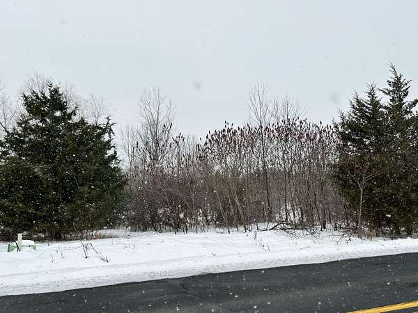 5 Acres of Land for Sale in Fennville, Michigan