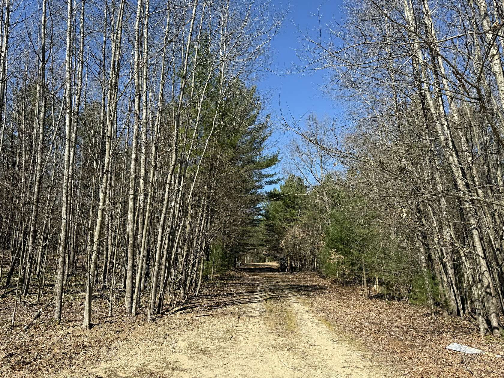 3.75 Acres of Residential Land for Sale in Pentwater, Michigan