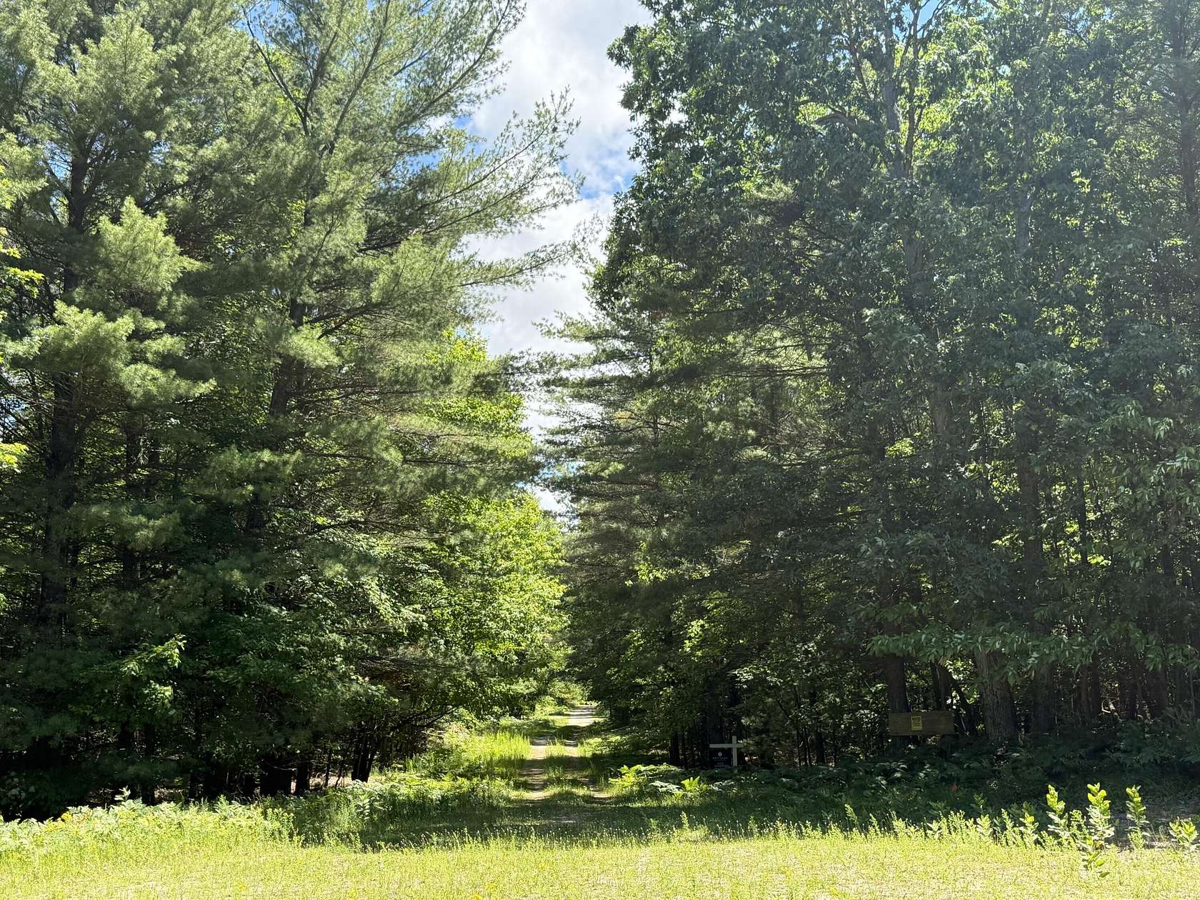 3.75 Acres of Land for Sale in Pentwater, Michigan