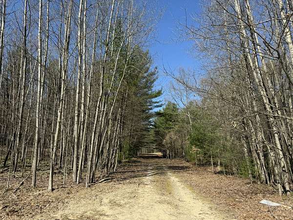 3.75 Acres of Residential Land for Sale in Pentwater, Michigan
