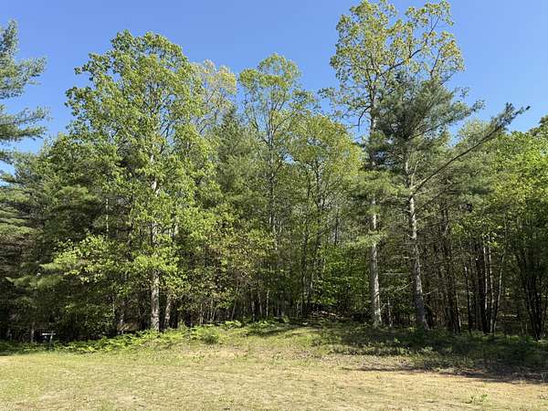 3.75 Acres of Residential Land for Sale in Pentwater, Michigan
