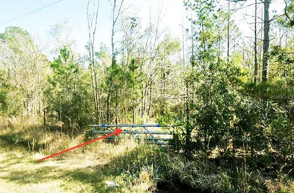 1.14 Acres of Land for Sale in Hastings, Florida