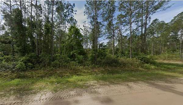 1.14 Acres of Land for Sale in Hastings, Florida