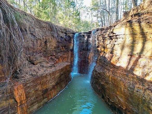 8 Acres of Land for Sale in Palestine, Texas