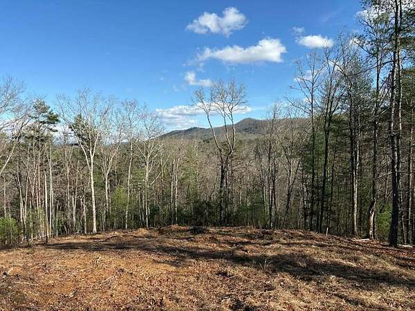 1.88 Acres of Residential Land for Sale in Mineral Bluff, Georgia