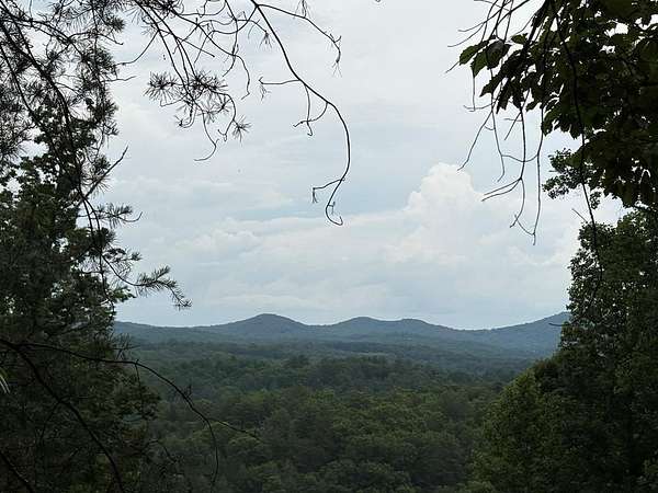 10 Acres of Recreational Land for Sale in Morganton, Georgia