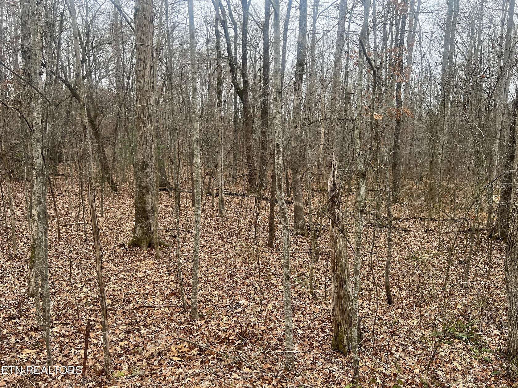 1.8 Acres of Residential Land for Sale in Fairfield Glade, Tennessee