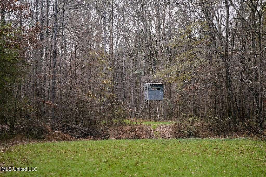 57 Acres of Recreational Land for Sale in Ackerman, Mississippi