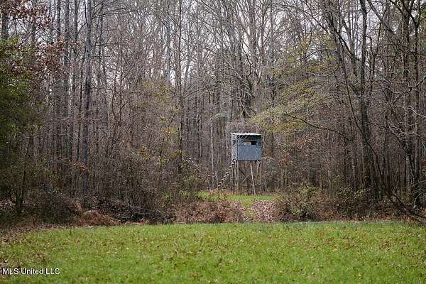 57 Acres of Recreational Land for Sale in Ackerman, Mississippi