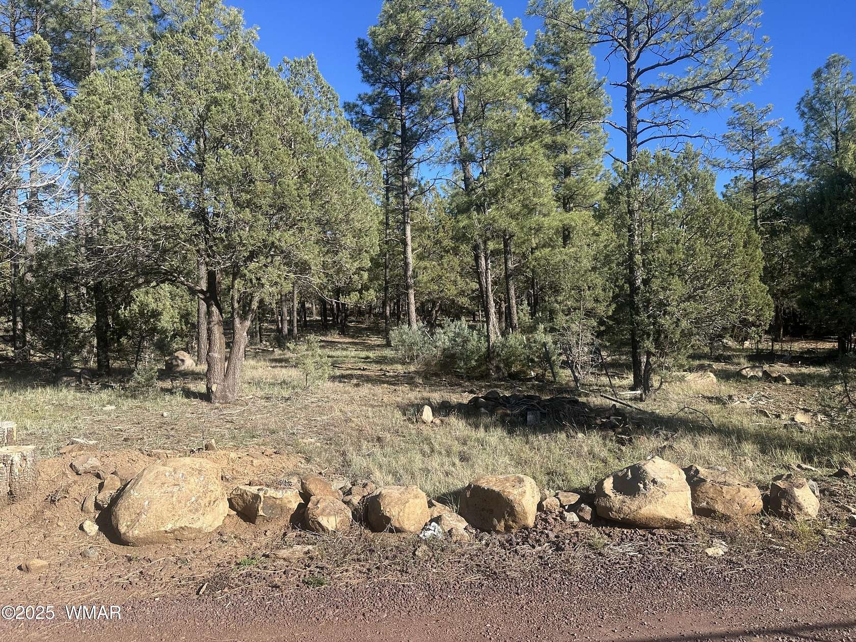 0.5 Acres of Residential Land for Sale in Lakeside, Arizona