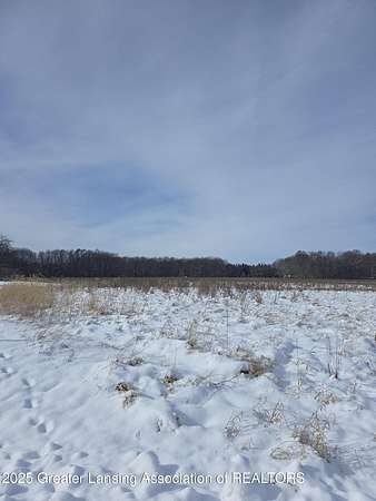2 Acres of Residential Land for Sale in Haslett, Michigan