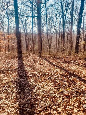 92.5 Acres of Recreational Land for Sale in Fairview, Tennessee