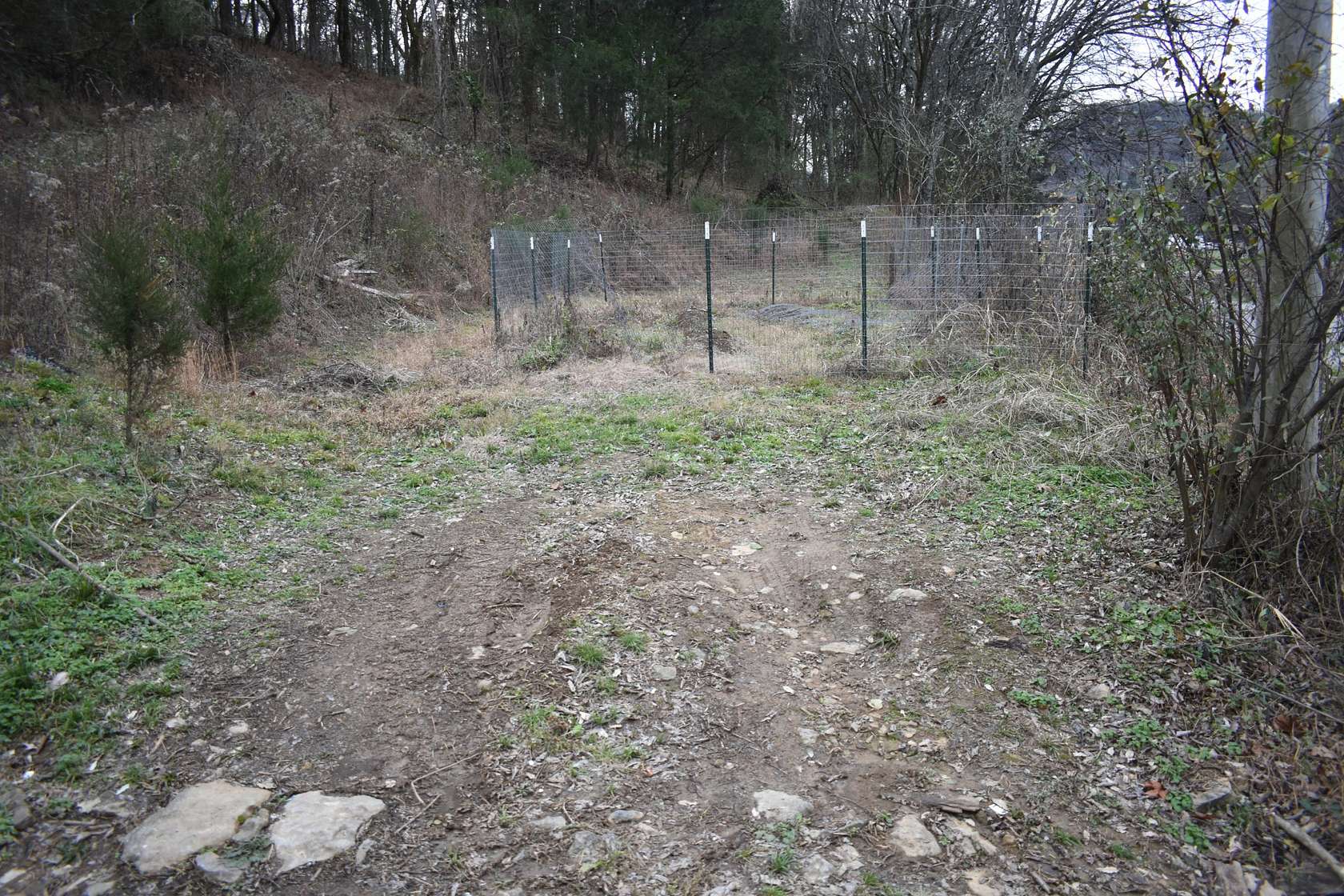 29 Acres of Recreational Land & Farm for Sale in Elmwood, Tennessee